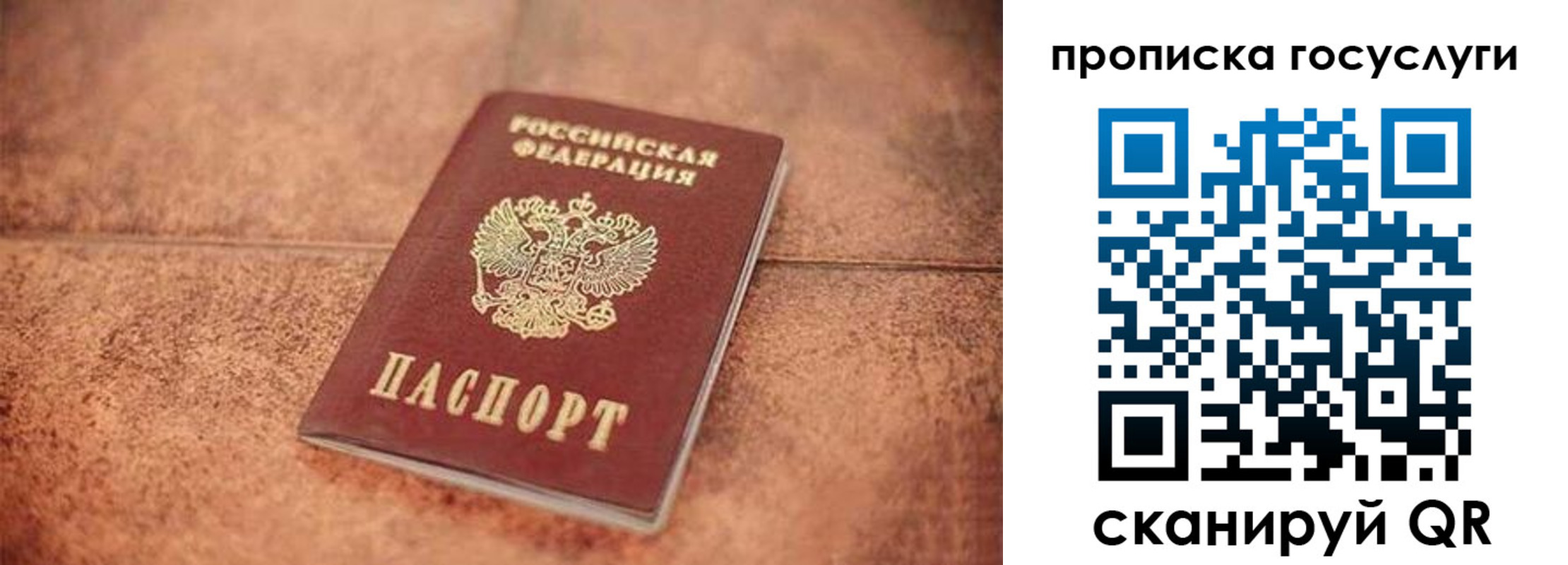 прописка законно в Бронницах